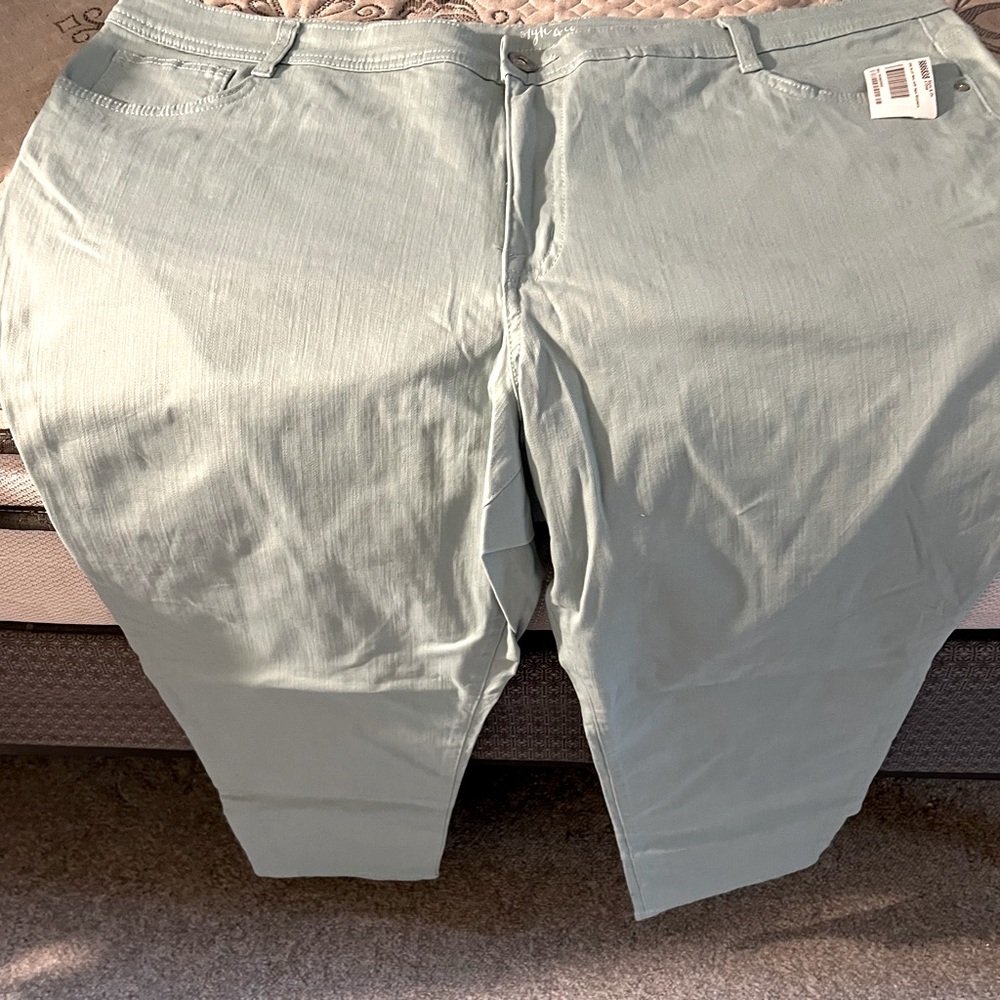 Plus size pants
